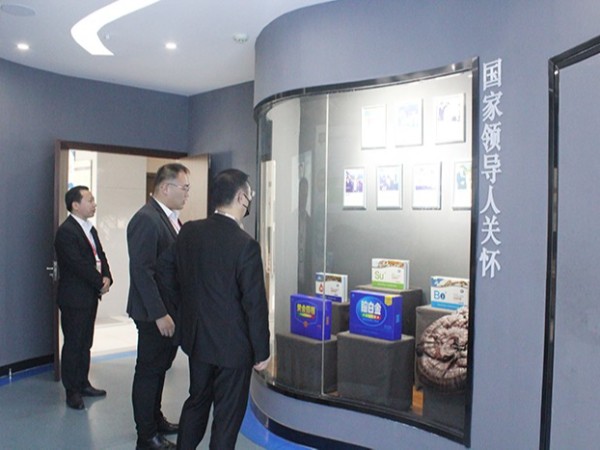 【动态凯发娱乐k8官网】上海衍生文化发展集团有限公司总经理何亚莅临凯发娱乐k8官网药业